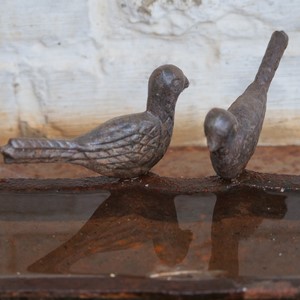 Vasque d'eau surmontée de deux oiseaux en fonte - Belgique  - collection de photos clin d'oeil, catégorie clindoeil